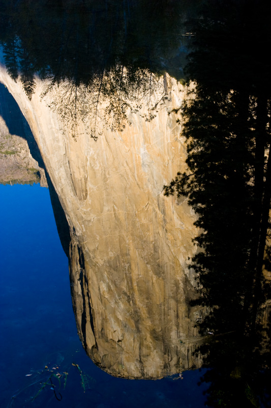 Reflection Of El Capitan In Shallows Of Merced River